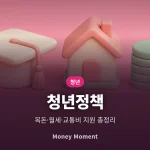 청년 지원 정책 총정리, 목돈 마련부터 월세·교통비까지 신청 순서