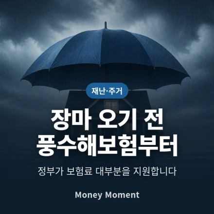침수 피해, 재난지원금은 위로금 수준입니다 — 풍수해보험을 장마 전에 드는 이유